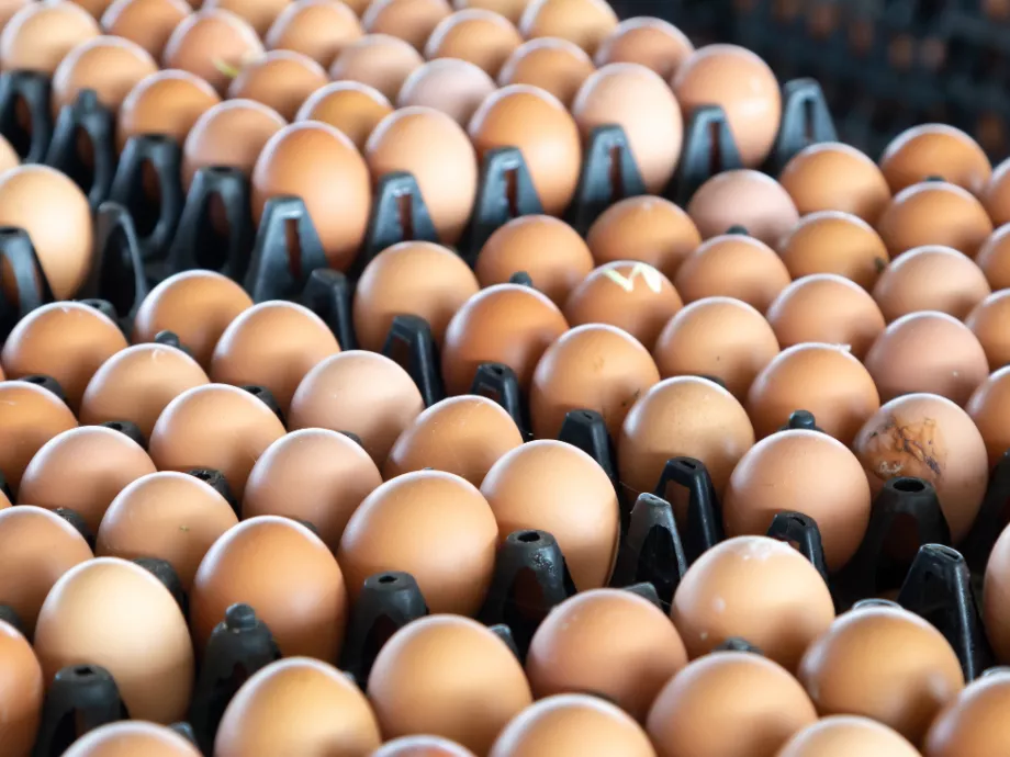 Az ukrán tojásgyártók 2025-ben csaknem megduplázták nettó nyereségüket