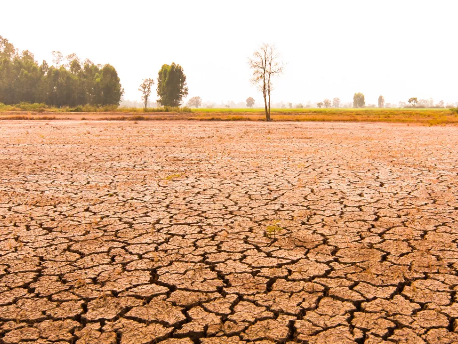 FAO és WFP: sürgős forrásokra van szükség az El Niño hatásainak mérséklésére