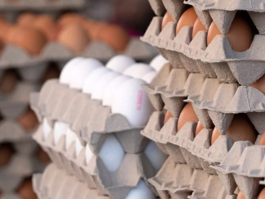 75 ezer illegális tojást vontak ki a bécsi piacról