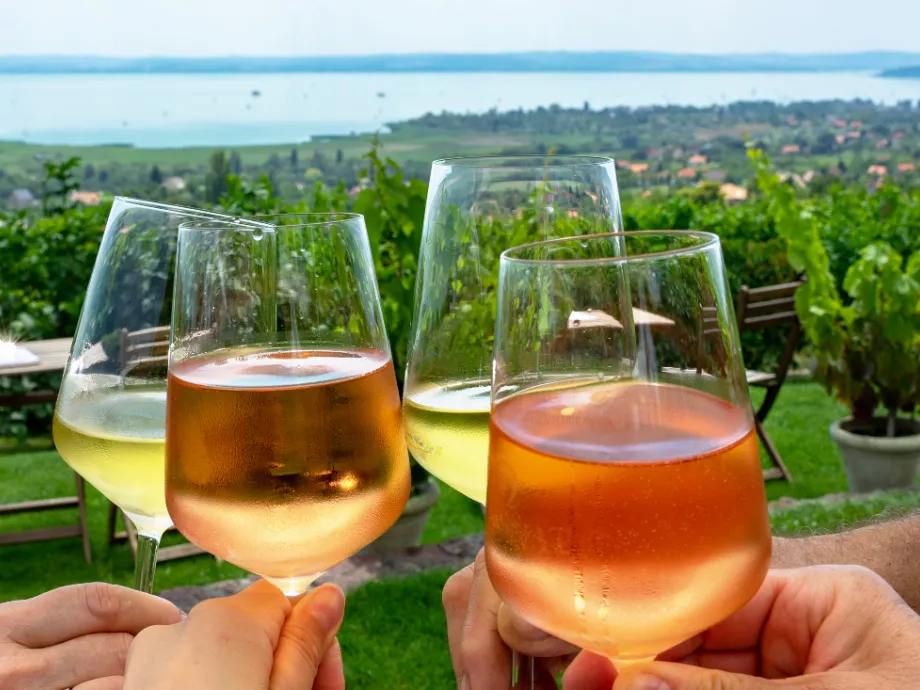 „Vörösborossá” válhat a Balaton borrégió
