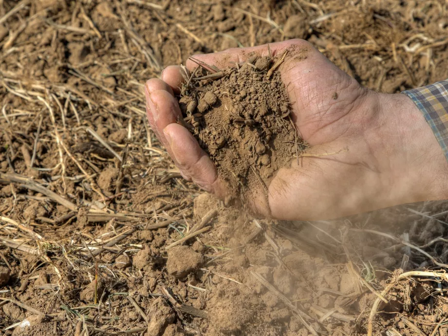 Agrometeorológia: nem elég a csapadék a növények optimális fejlődéséhez