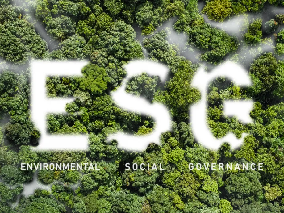 Új vállalati kötelezettségek az ESG törvényhez kapcsolódóan