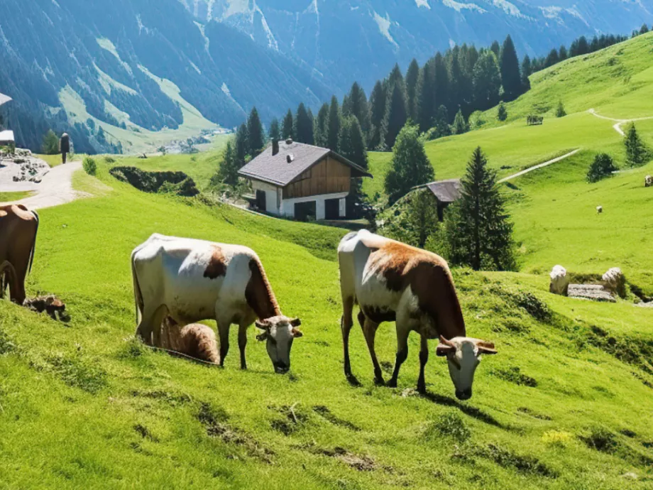 Geopolitikai bizonytalanság és költségnyomás alakítja az osztrák agráriumot