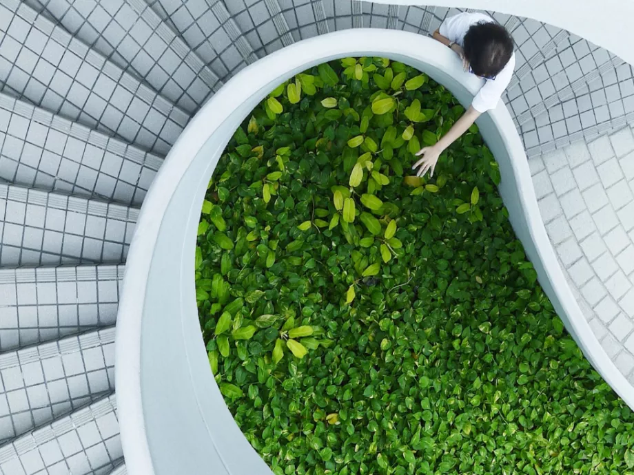 Green Friday kampányt indít a Mastercard, hogy felhívja a figyelmet a tudatos költekezésre