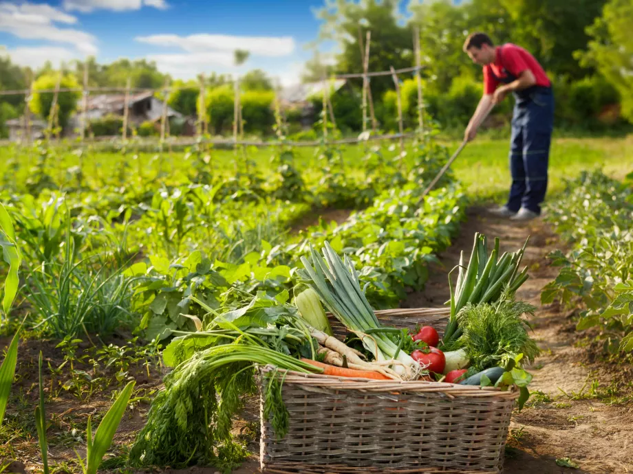 Előnyt élveznek a biogazdák a magyar agráriumnak szánt pénzek elosztásánál