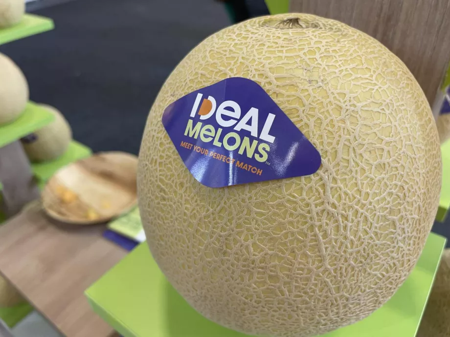 Ezüstérmes az innovatív sárgadinnye