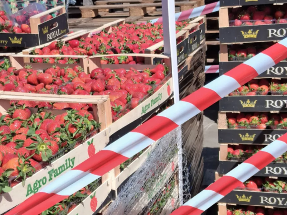 Tonnaszámra vont ki gyümölcsöt az NKFH az illegális árusoktól