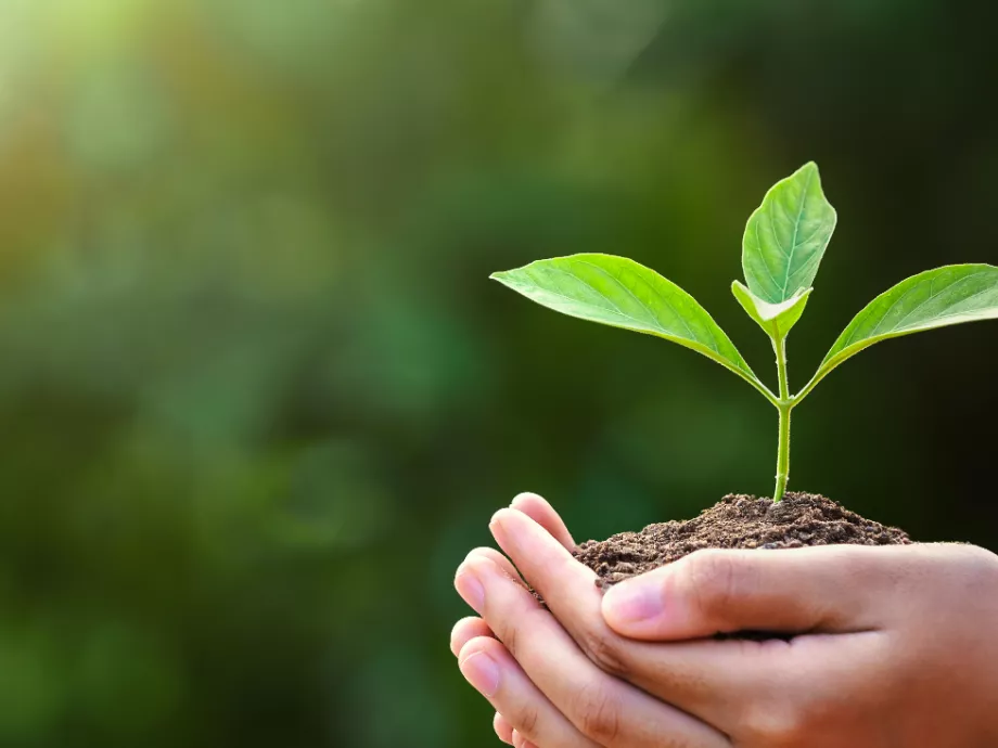 #PlantHealth4Life - kampány indul a növények egészségéért