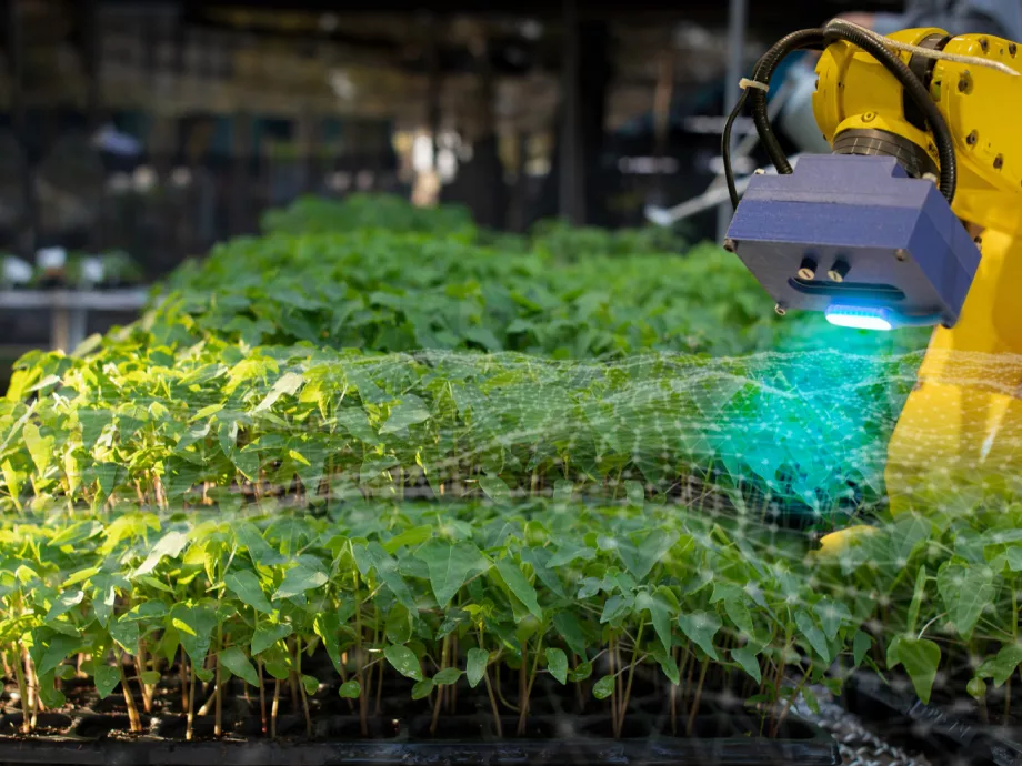 A Nemzeti KAP-hálózat új lendületet adhat az agráriumnak