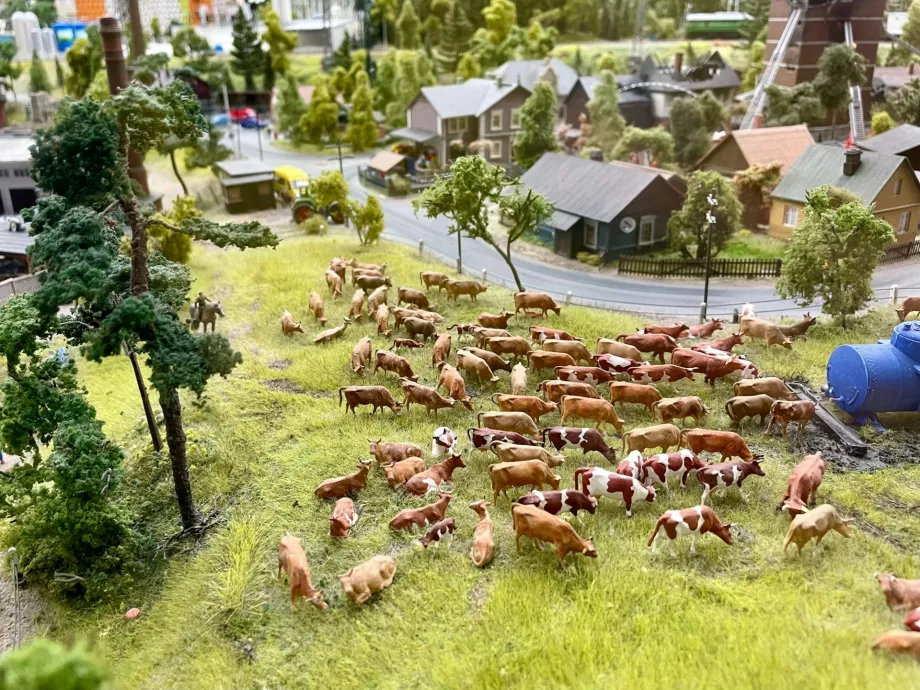 Kiderült, miért zöldebbek azok a gazdaságok, amelyeket nők vezetnek