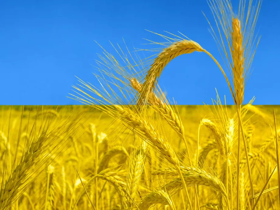 Magyarország indítványozza, hogy az EU hosszabbítsa meg az ukrán gabonatermékek behozatalának tilalmát