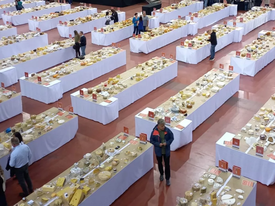 Magyar éremesőt hozott az idei World Cheese Awards